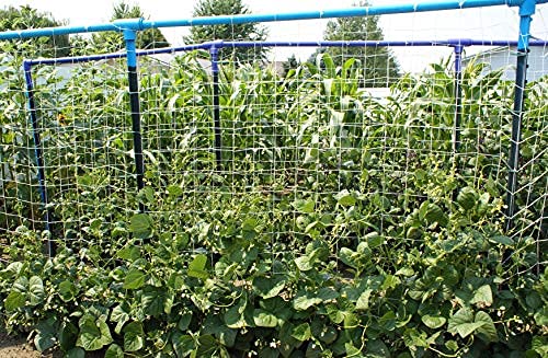 4ft x 4920 ft Heavy-Duty Garden Netting for Climbing Plants,Garden Melons Vegetables Hydroponic Toolazy Professional Garden Trellis Netting Bulk Roll Grape Racks 